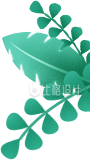 植物叶子