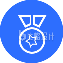 简约勋章图标 适用于多种宣传物料
