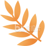 手绘树叶叶子