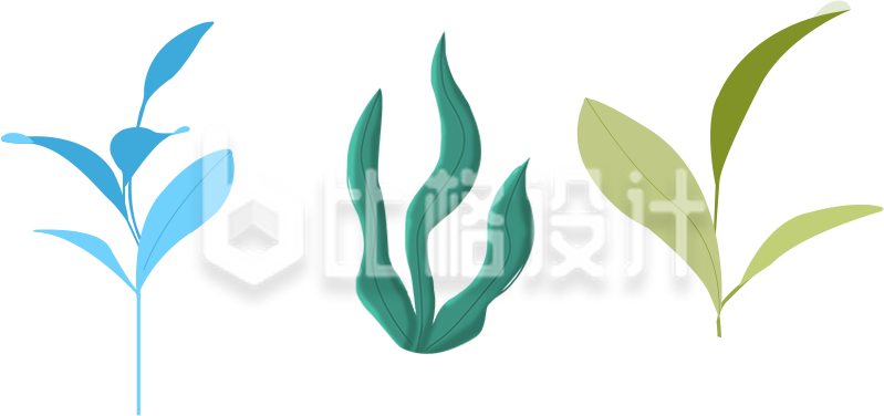 绿植叶子