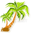 椰树