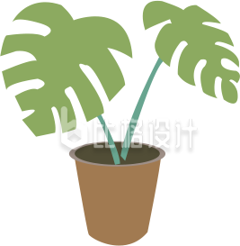 植物盆栽