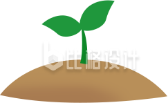 刚发芽的小树苗