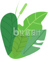 一丛植物