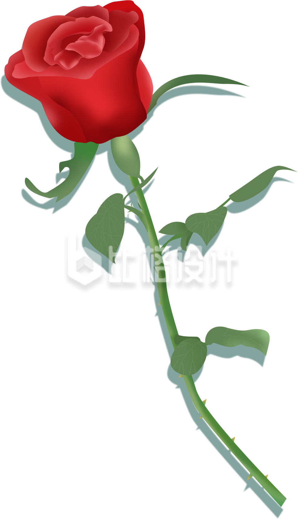 手绘玫瑰花