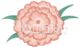 手绘单朵康乃馨