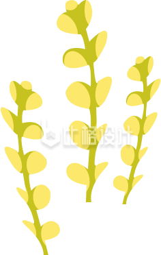水稻