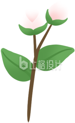 手绘花草花苞花枝