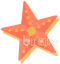 海星