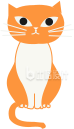 橙色小猫咪