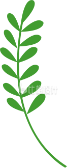 叶子