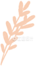 叶子