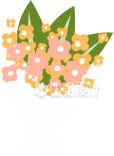 鲜花束