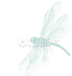 蜻蜓