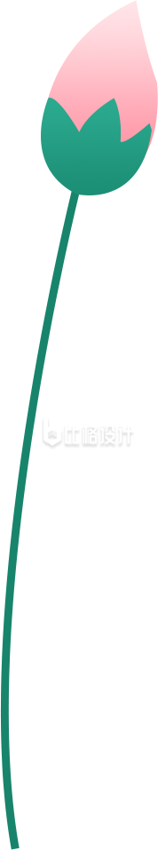 荷花花苞