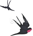 燕子