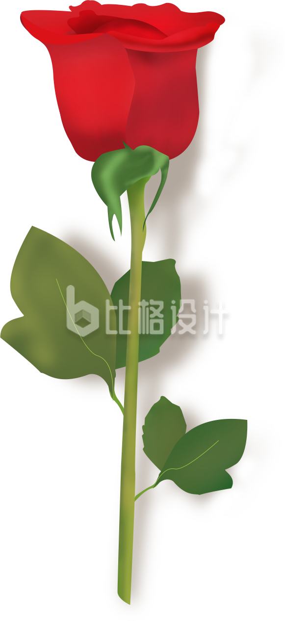 玫瑰花
