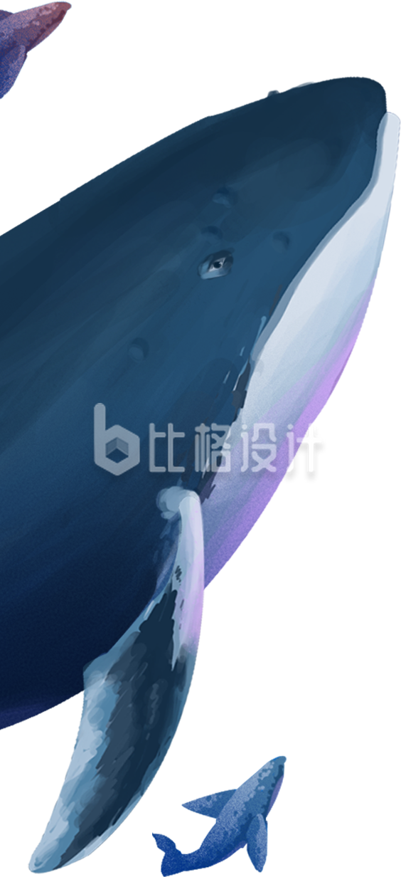 鲸鱼