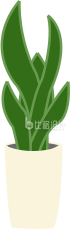 植物盆栽