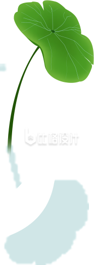 荷叶