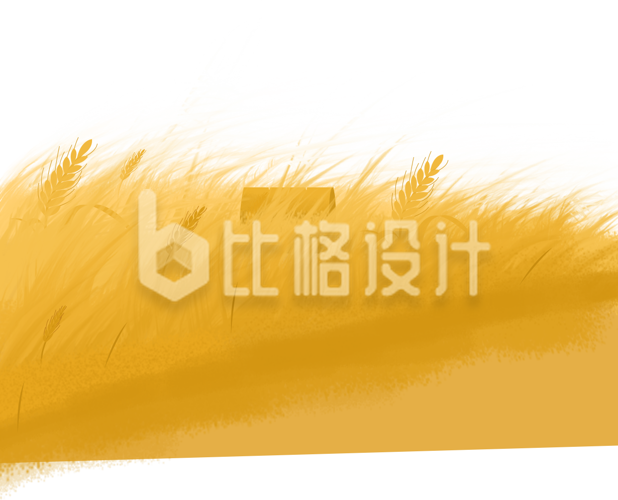 麦田麦穗