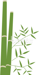 竹子