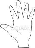 线条插画手掌