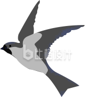 燕子鸟
