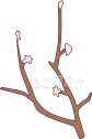 树枝