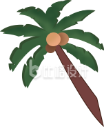 椰子树