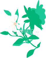 花朵植物叶子