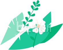 花朵植物叶子
