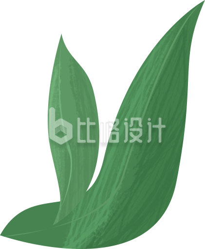 粽叶