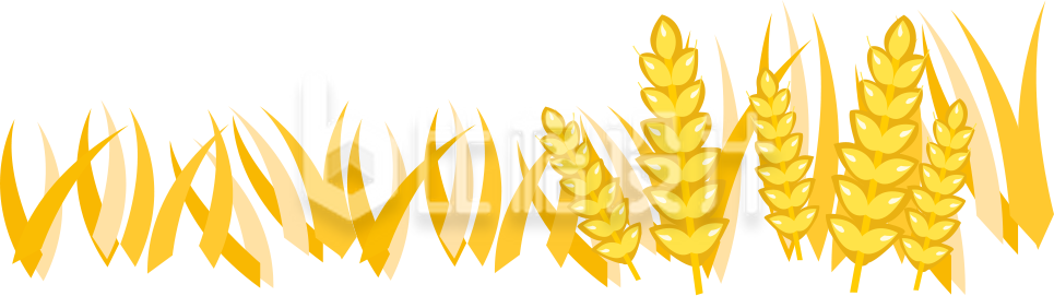 手绘麦子