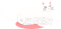 白色猫咪