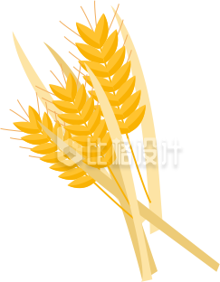 小麦穗