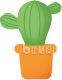 可爱绿植盆栽，为生活增添一抹清新绿意