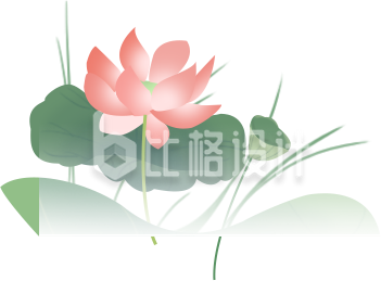 荷花丛