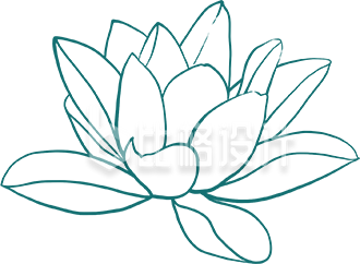 手绘线稿荷花
