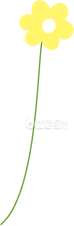 小黄花