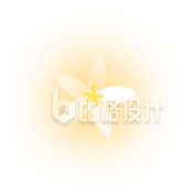 清新简约风白色花朵素材，尽显自然之美