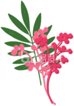 粉色花朵与绿叶组成的清新装饰素材 粉色花朵与绿叶组成的清新装饰素材