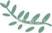 清新简约的树叶图案 适合多种宣传物料 清新简约的树叶图案 适合多种宣传物料