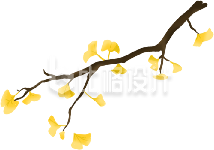 金黄银杏树枝插画,尽显秋日氛围装饰 金黄银杏树枝插画,尽显秋日氛围装饰