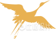展翅飞翔的鸟儿形象 创意动物宣传图