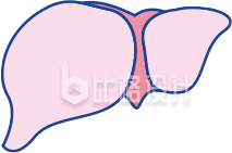 肝脏手绘元素