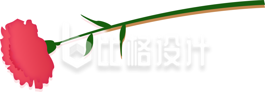 简约花朵康乃馨插画