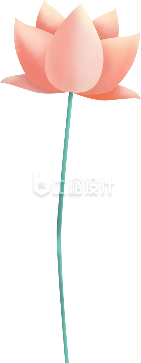 简约卡通荷花插画