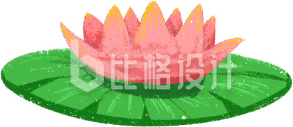 小荷花可爱插画
