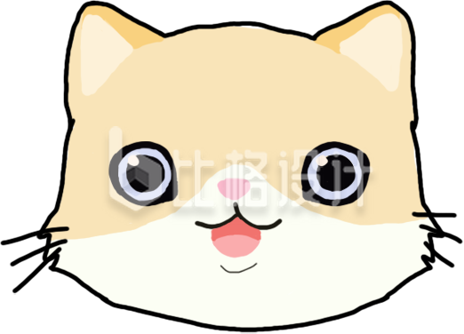 可爱的小猫